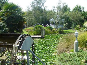 07Jun2015070625Ngatea Water Gardens.JPG